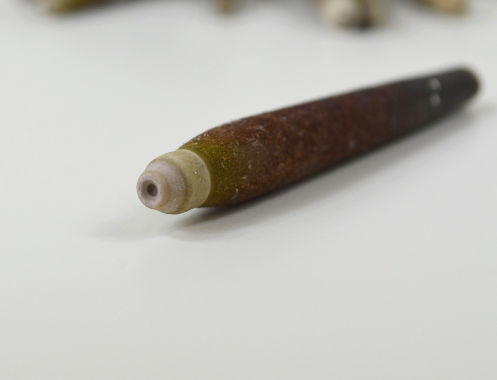 Urchin Spines Urchin Spines